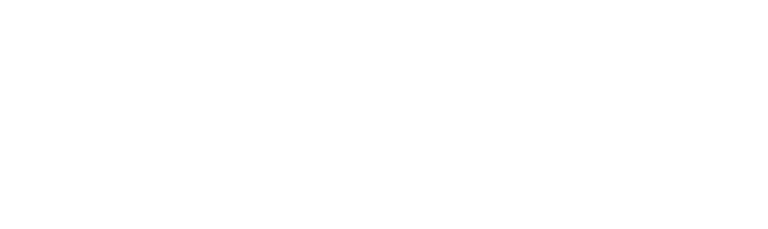 Guess (1)