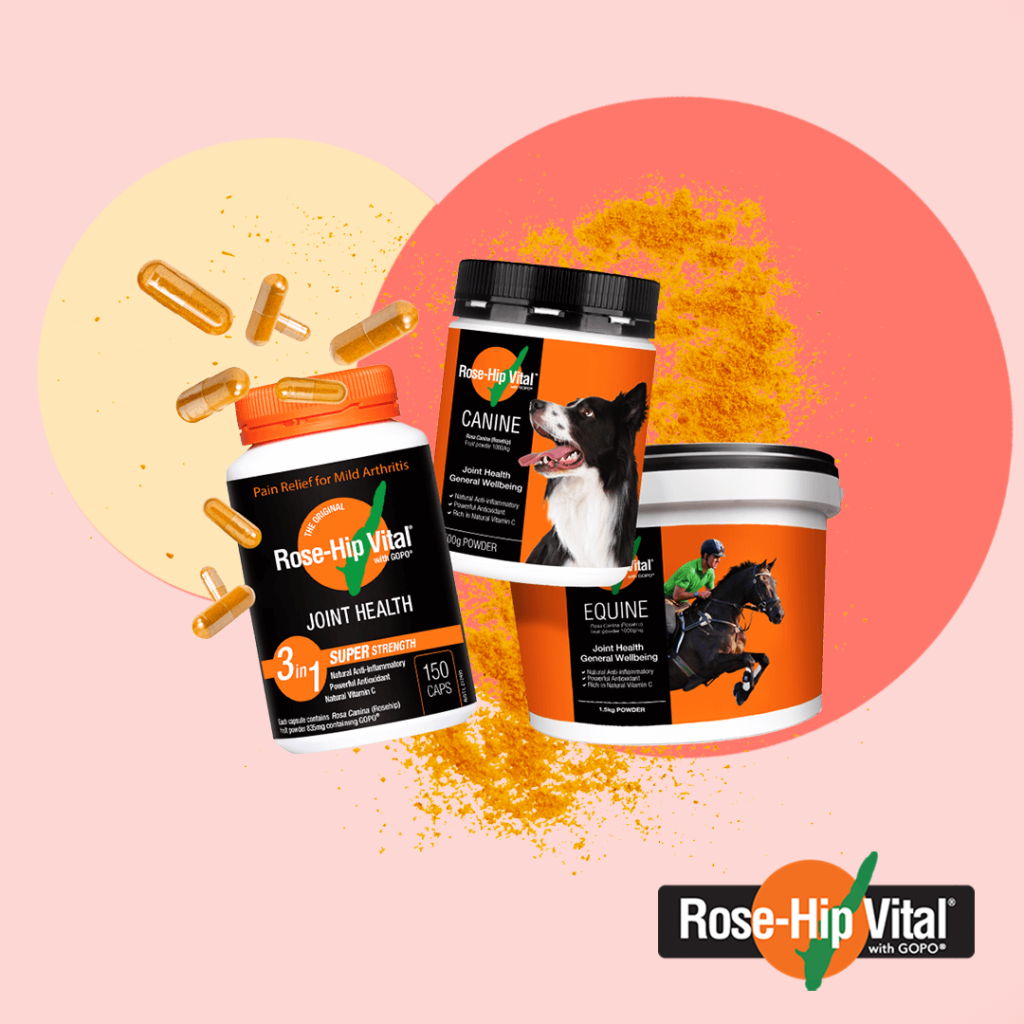 Rose-Hip Vital Case Study